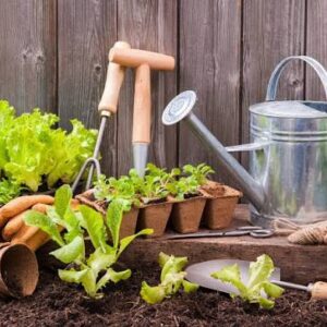 Home & Garden